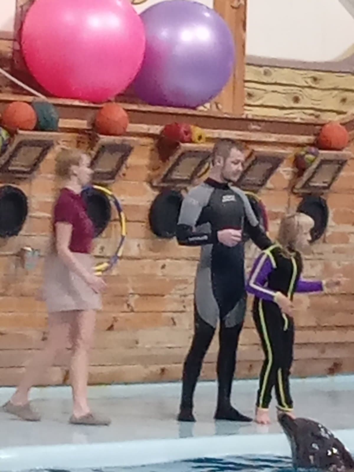 Photo from dolphinarium